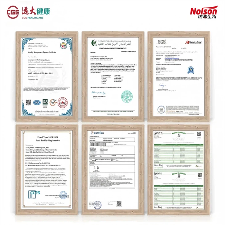 Bacillus Amyloliquefaciens