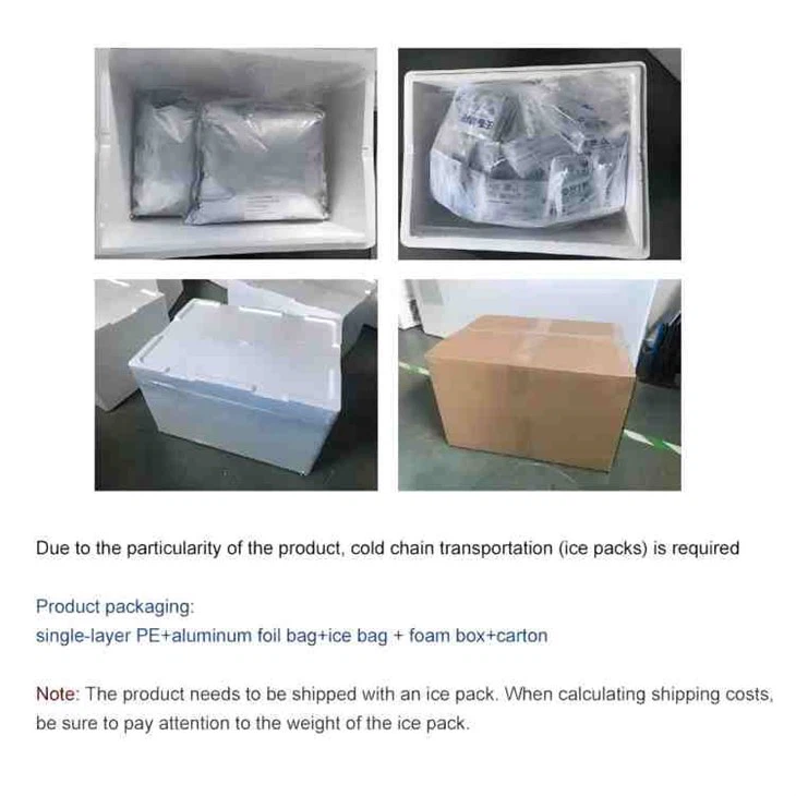 Lactobacillus Johnsonii